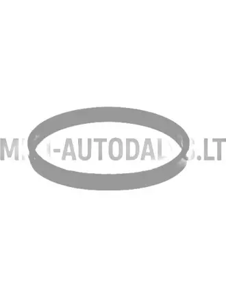 Termostato tarpiklis Lombardini 442 / 480 / 492 DCI