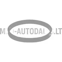 Termostato tarpiklis Lombardini 442 / 480 / 492 DCI