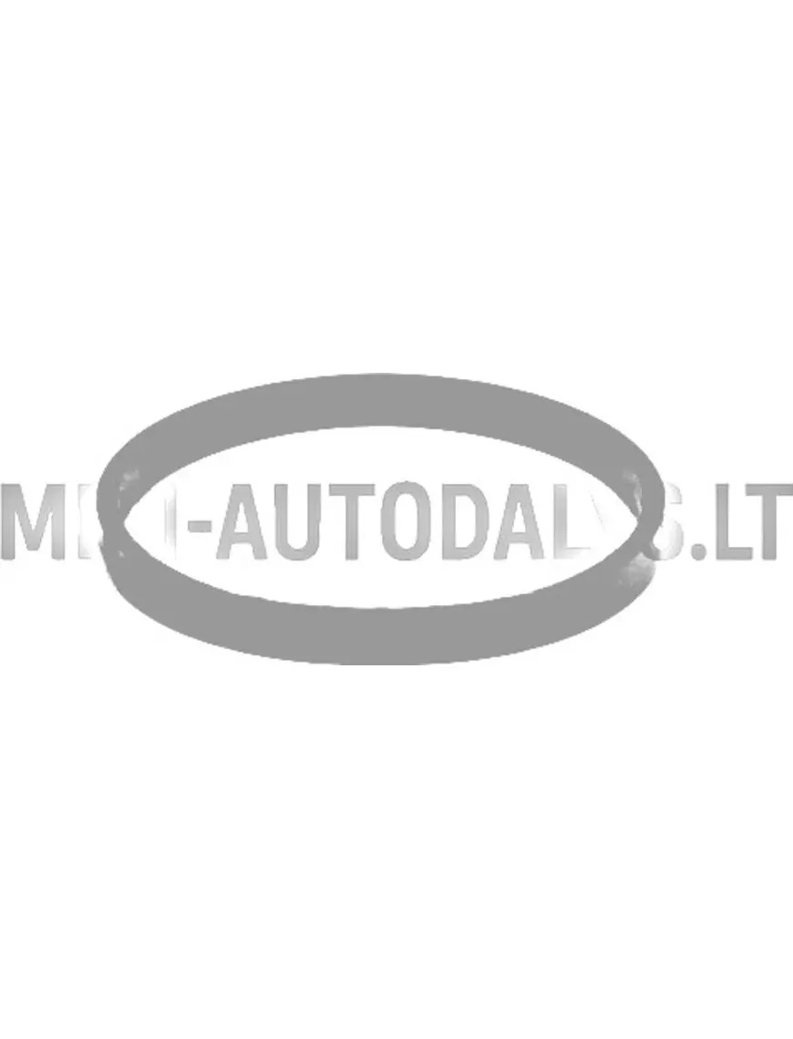 Termostato tarpiklis Lombardini 442 / 480 / 492 DCI