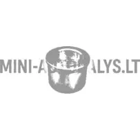 Užpildymo įvorės pavarų dėžė variomatic Ligier