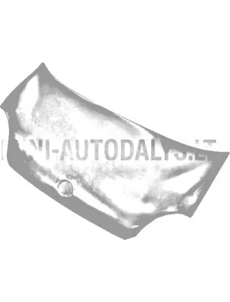 Dangtis Aixam 500.4