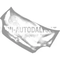 Dangtis Aixam 500.4