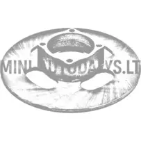 Priekinis stabdžių diskas Chatenet / JDM (Ø 225 mm)