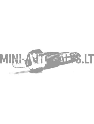 Šilumos jutiklis Aixam Kubota Z402