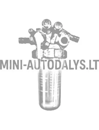 Bako filtro komplektas Aixam Kubota Z402
