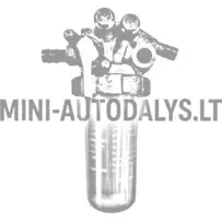 Bako filtro komplektas Aixam Kubota Z402