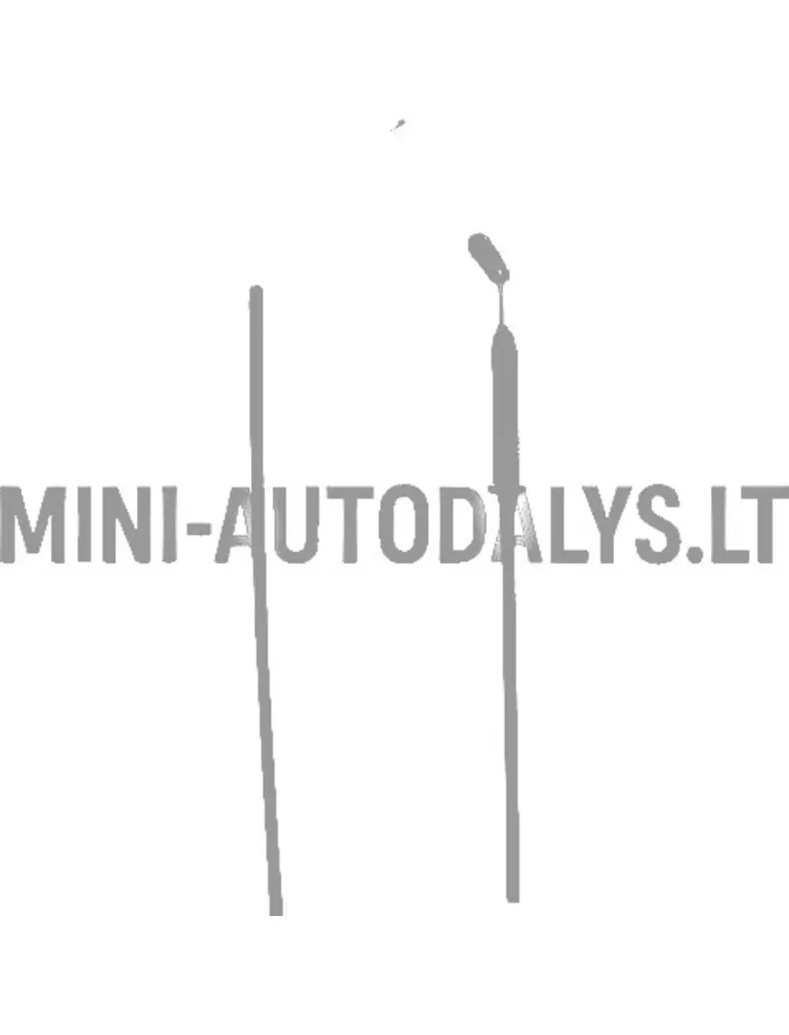 Akceleratoriaus / droselinės sklendės lynas Ligier Ambra / 162