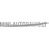 Dekoratyvinė chromo juostelė kairėje priekinio bamperio pusėje Aixam 2008