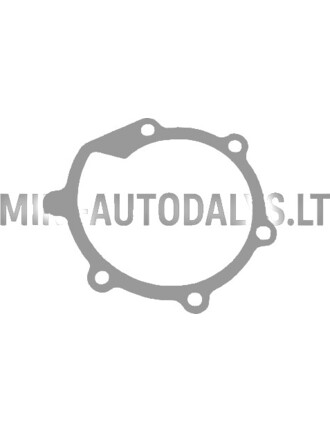 Vandens siurblio tarpiklis Casalini Mitsubishi L2E / L2C