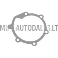 Vandens siurblio tarpiklis Casalini Mitsubishi L2E / L2C