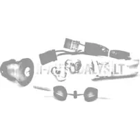 Uždegimo spynelės rinkinys Ligier / Microcar / Due (2 žvakės)