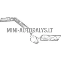 Kapoto dangčio vyris Microcar Microcar MGO1 / MGO2 / Ligier JSRC