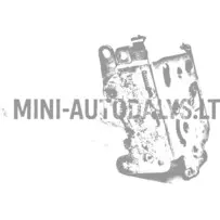 Vidinis dešinysis užraktas Ligier / Microcar