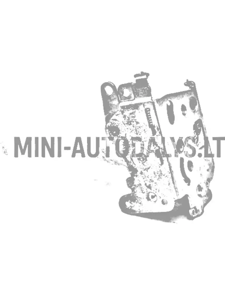 Vidinis dešinysis užraktas Ligier / Microcar