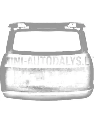 Mikroautobuso galinės durys MGO1 / MGO2