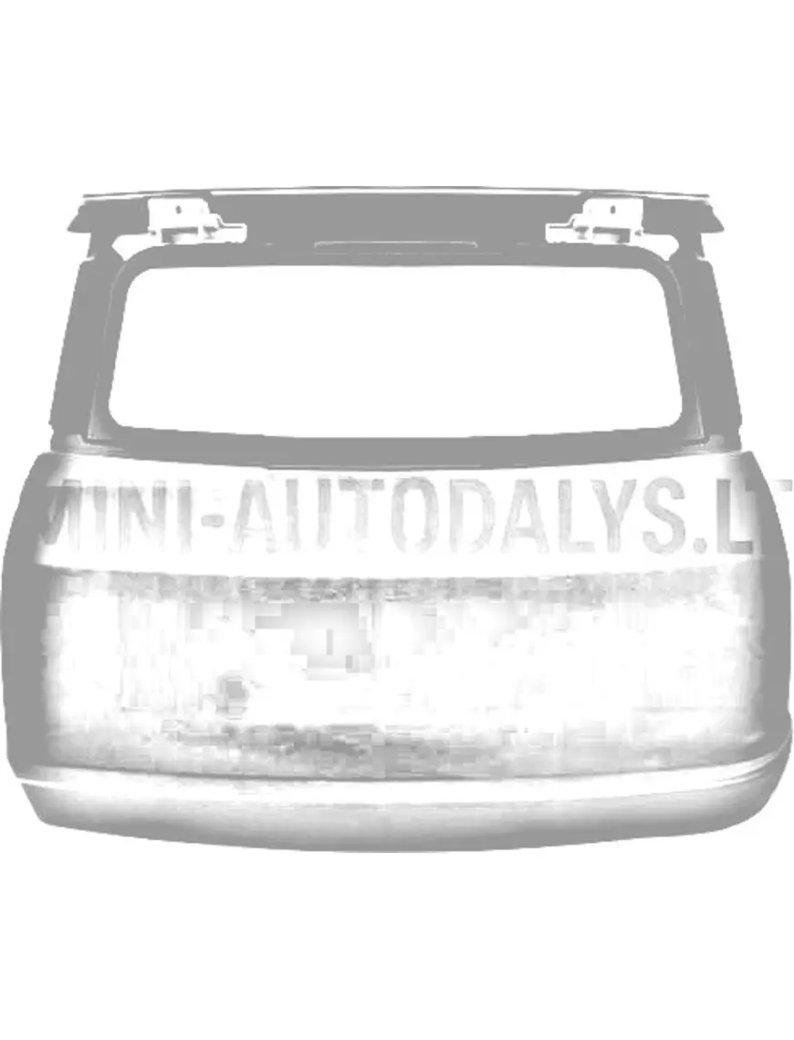 Mikroautobuso galinės durys MGO1 / MGO2