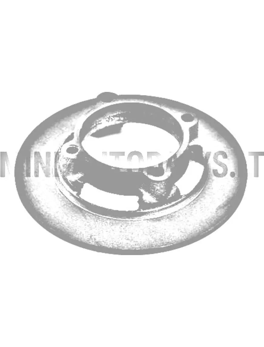 Priekinis stabdžių diskas Microcar Virgo / MC1 / MC2 / JDM Titane (Ø 170 mm)