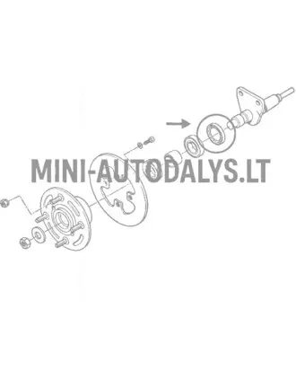 Galinės ašies sandarinimo žiedas Microcar MC1 / MC2