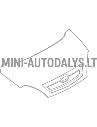Mikroautobuso dangtis MGO1