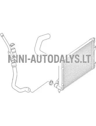 Radiatoriaus žarna Microcar MGO1 / MGO2 / M8 Lombardini 502 Progress