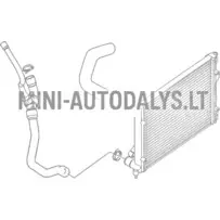 Radiatoriaus žarna Microcar MGO1 / MGO2 / M8 Lombardini 502 Progress