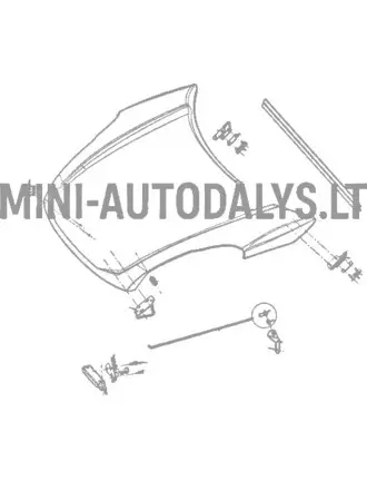 Kojų strypo gaubtas Ligier JS50 / JS50L Ph1