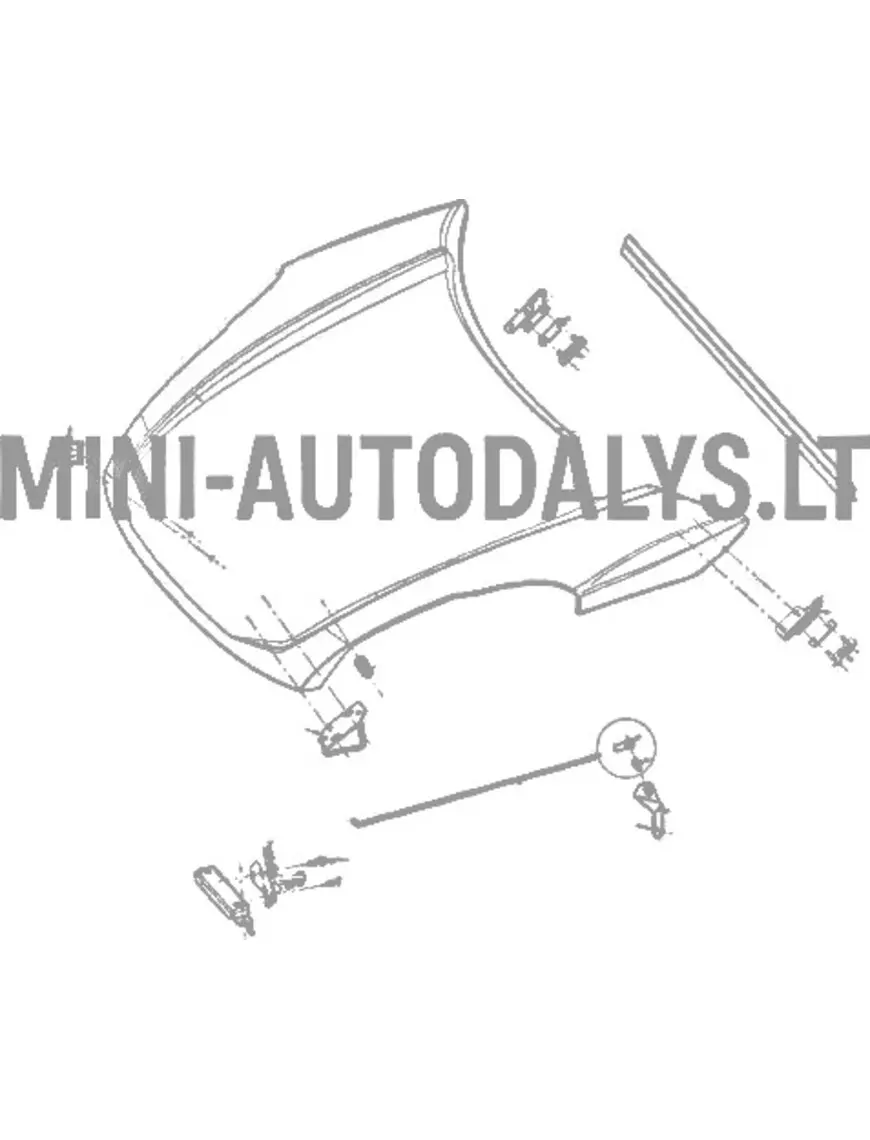 Kojų strypo gaubtas Ligier JS50 / JS50L Ph1