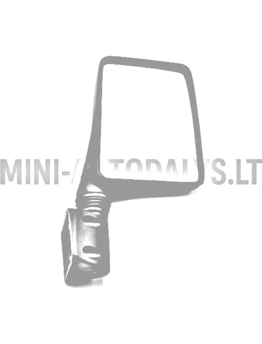 Išorinis dešinysis veidrodėlis Ligier / Microcar Flex