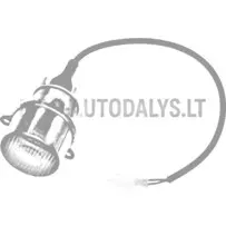 Galinis kairės pusės rūko žibintas Microcar / Ligier
