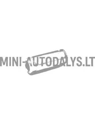 Magistralės kreipiančioji galinis suportas Ligier