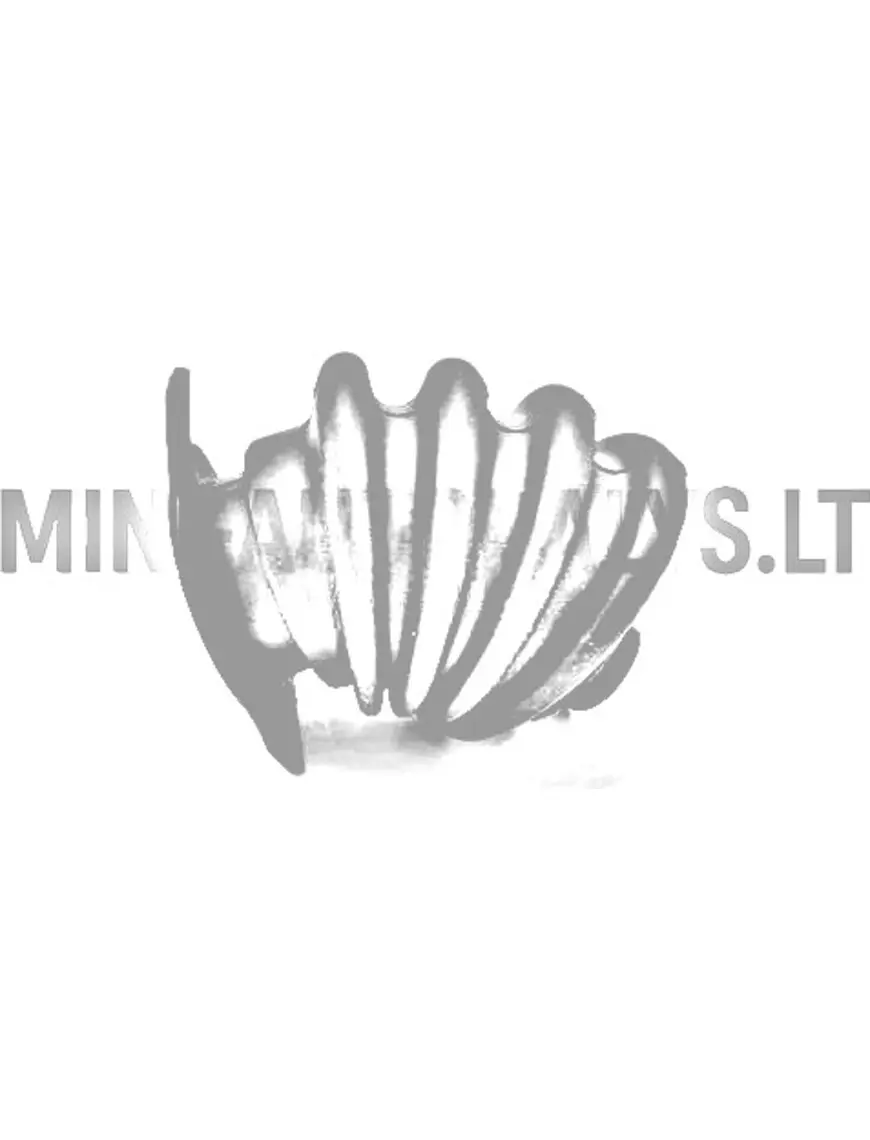 Rankinio stabdžio svirtis Ligier X-too Max / S / R / RS
