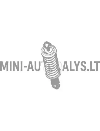 Galinis amortizatorius Ligier Nova (2-asis montavimas)