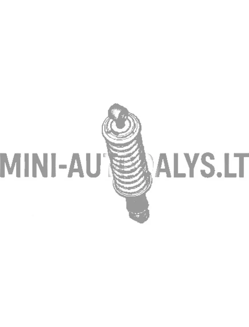 Galinis amortizatorius Ligier Nova (2-asis montavimas)