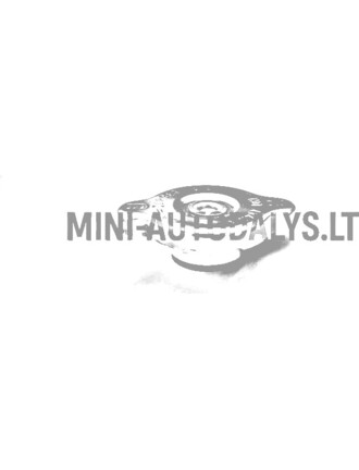 Radiatoriaus dangtelis Ligier Ambra