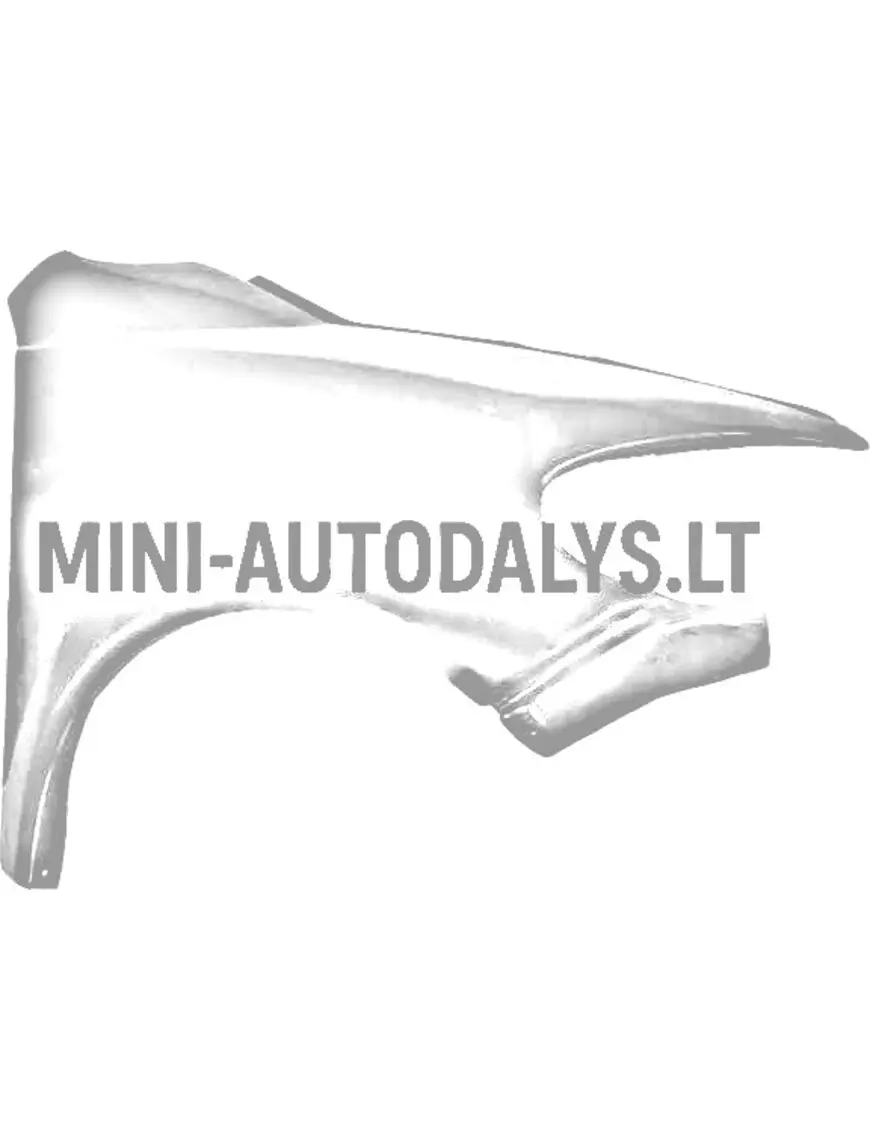 Priekinis dešinysis sparnas Ligier X-Too Max
