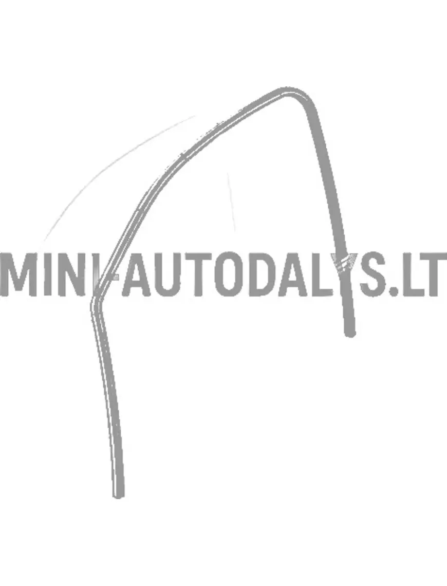 Langų kreipiančioji guma kairėje Microcar / Ligier