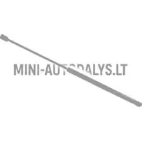 Galinių durelių amortizatorius Ligier JS60
