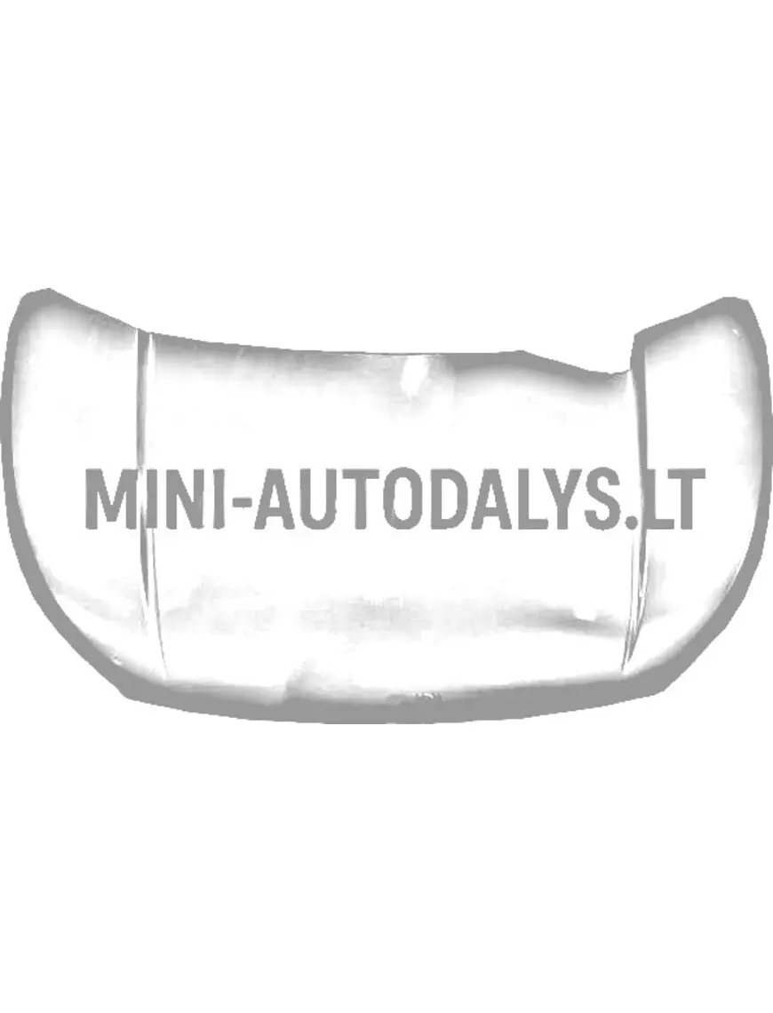Dangtis Ligier JS50 / JS50L Ph2/Ph3
