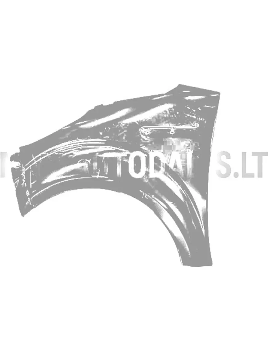 Priekinis kairės pusės sparnas Ligier JS50/JS50L Ph2/Ph3 (intensyviai juodas)