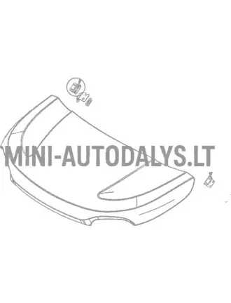 Priekinis dešinysis variklio dangčio lankstas Microcar MGO6 / Due6