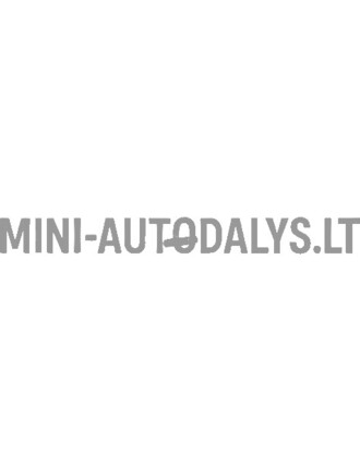Prisegamas raktelis Ligier / Microcar / Aixam / Casalini