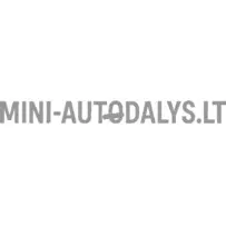 Prisegamas raktelis Ligier / Microcar / Aixam / Casalini