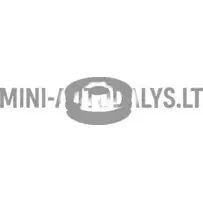 Žibintų atraminė guma Ligier JS60