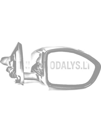Dešinės pusės veidrodis Ligier JS60 PH2