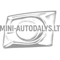 Grotelės laikiklis be dienos žibintų Ligier IXO priekyje dešinėje (mineralinė pilka)