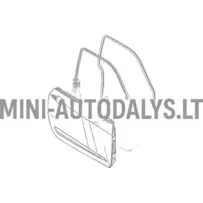 Dešinės pusės durų panelė Ligier JS50 / JS50L