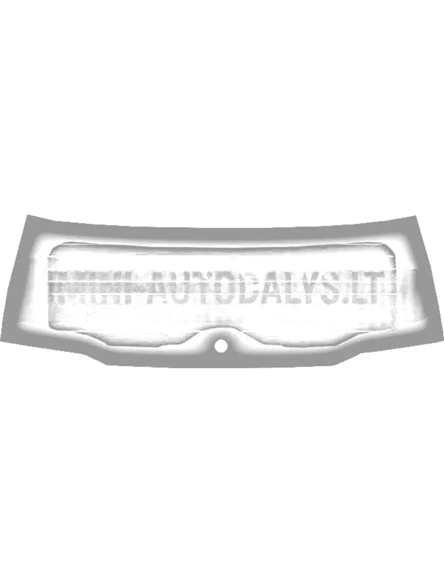 Galinis langas Ligier JS50 / JS50L