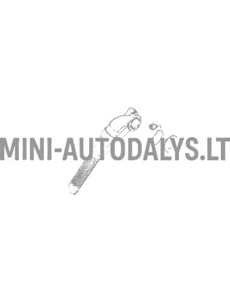 Degalų bako užpylimo žarna Ligier JS50 / JS50L
