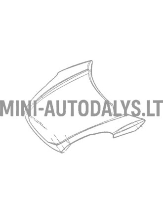 Variklio gaubtas Ligier JS50 / JS50L Ph1