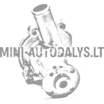Vandens siurblys Casalini Mitsubishi
